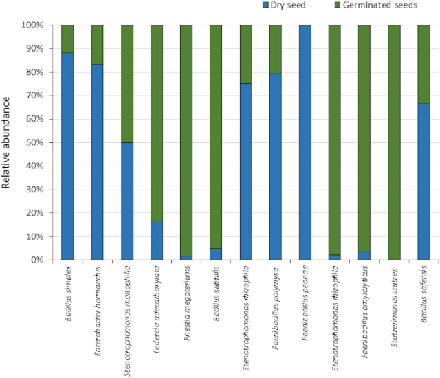 Bacterial abundance bar chart; dry vs germinated seeds; relative abundance comparison; species.