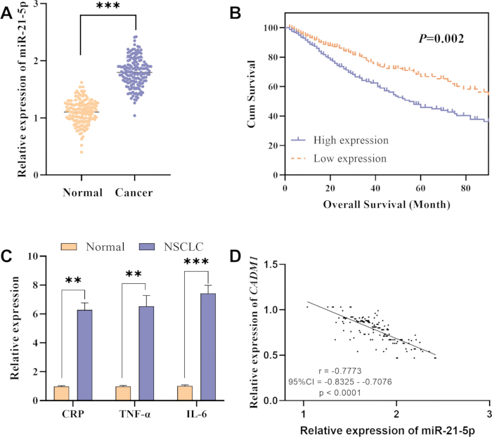 figure-results-1 miRNA expression analysis, statistical charts showing cancer relevance, survival, biomarker levels.