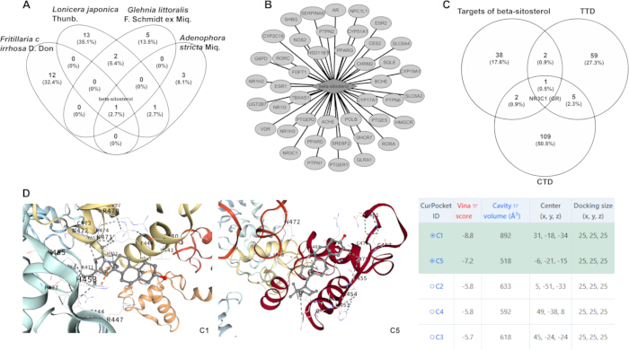 Venn diagrams, molecular network, protein structure comparison, docking analysis table, drug targets.