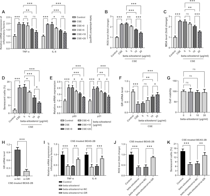 Bar charts comparing beta-sitosterol effects on CSE-treated cells; TNF-α, IL-6 expression, senescence.