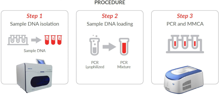 figure-protocol-2 figure-protocol-2