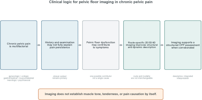 figure-protocol-2 Clinical logic flowchart for pelvic floor imaging in chronic pelvic pain; highlights imaging steps.