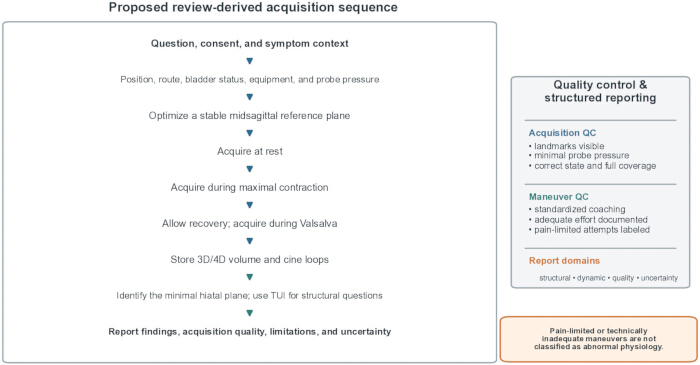 figure-protocol-4 Proposed acquisition sequence diagram; includes quality control steps for ultrasound studies.