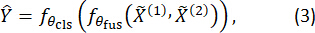 figure-protocol-10 Equation illustrating data fusion and classification process using mathematical functions.