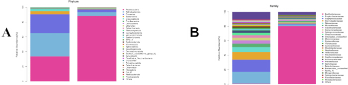 figure-results-5 微生物丰度分析;门和科水平的柱状图;生物多样性组成比较。