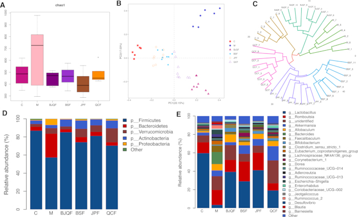 figure-results-2 Microbiome diversity analysis; boxplots, PCA plot, phylogenetic tree, and bar charts of taxa abundance.