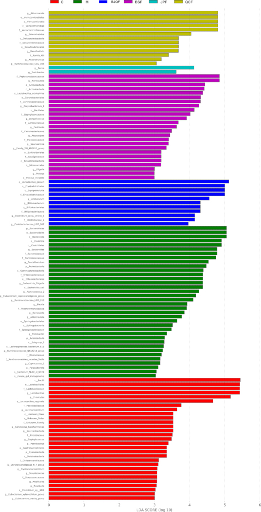 figure-results-3 Microbial diversity analysis chart, LDA score, taxonomic abundance, bar graph representation.