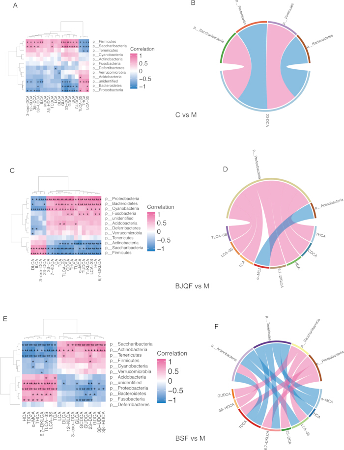 figure-results-6 Microbiome correlation heatmaps (A, C, E) and chord diagrams (B, D, F) showing bacterial relationships.