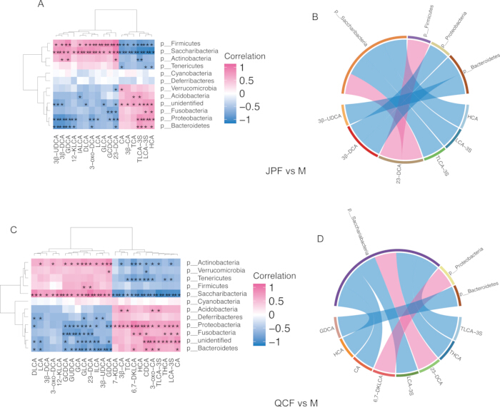 figure-results-7 Microbiome correlation analysis; heatmap and Chord diagram; bacterial phyla correlation; data visualization.