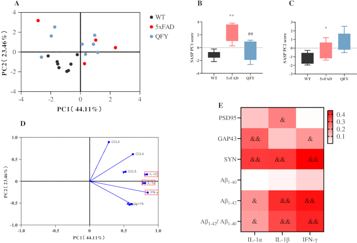 figure-results-6 Principal component analysis (PCA) charts, box plots, correlation heatmap; gene expression analysis.