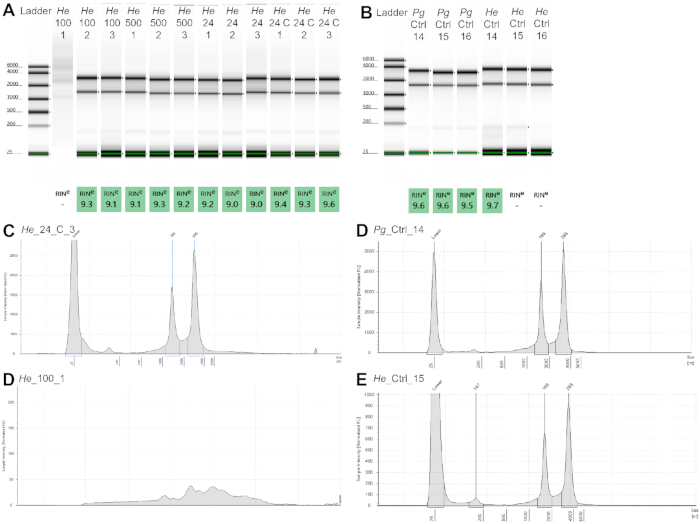figure-results-3