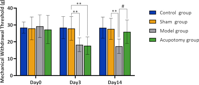 figure-results-4 Bar chart showing mechanical withdrawal threshold across groups: control, sham, model, acupotomy.