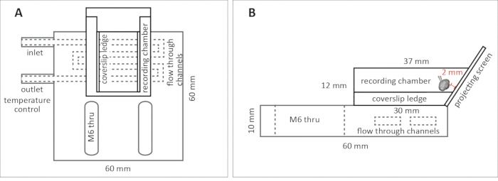 figure-protocol-3 静态平衡示意图;记录室装置;流道;温度控制;显微镜观察。