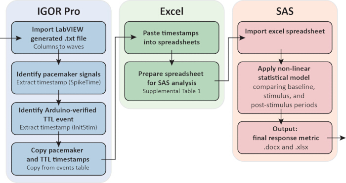 figure-protocol-8 数据分析工作流程图:从 IGOR Pro 到 Excel,SAS 进行非线性统计建模。