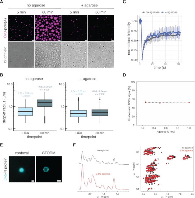 Droplet formation diagram; Cy3-poly(A) images; box plots; intensity graph; microscopy of Cy5-N protein.