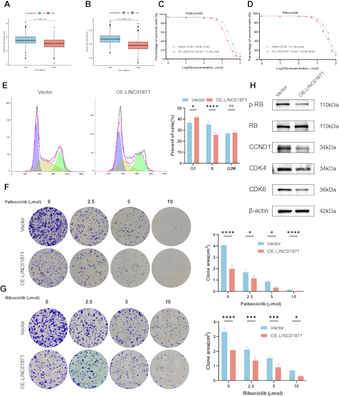 figure-results-2 Box plots, dose-response curves, cell cycle analysis, and drug effect diagrams in cancer research.