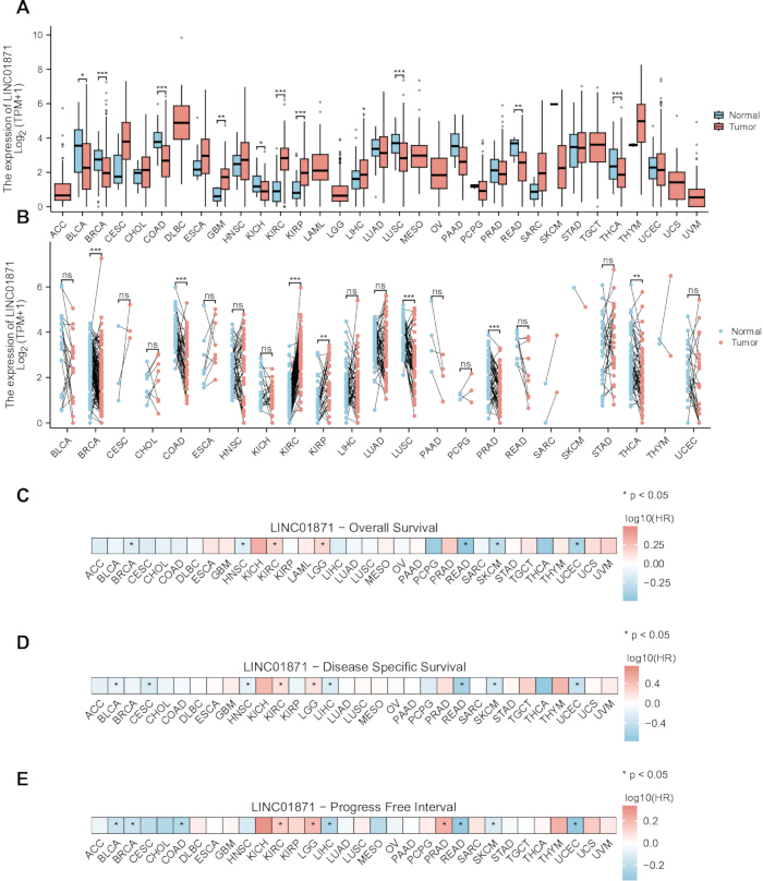 figure-results-5 LINC01871 expression, survival box plots, heatmaps; cancer vs normal tissue, disease outcomes.