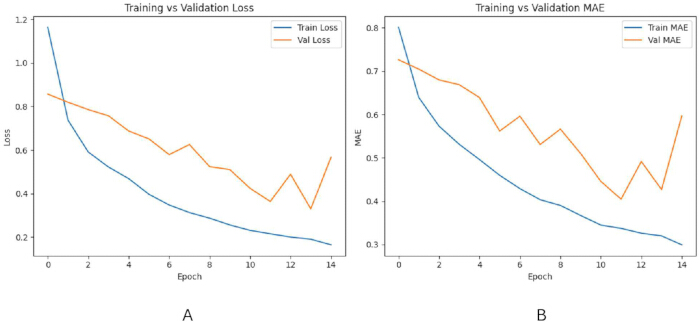 Training vs Validation; graphs; learning curves; loss, MAE; model performance; two charts.