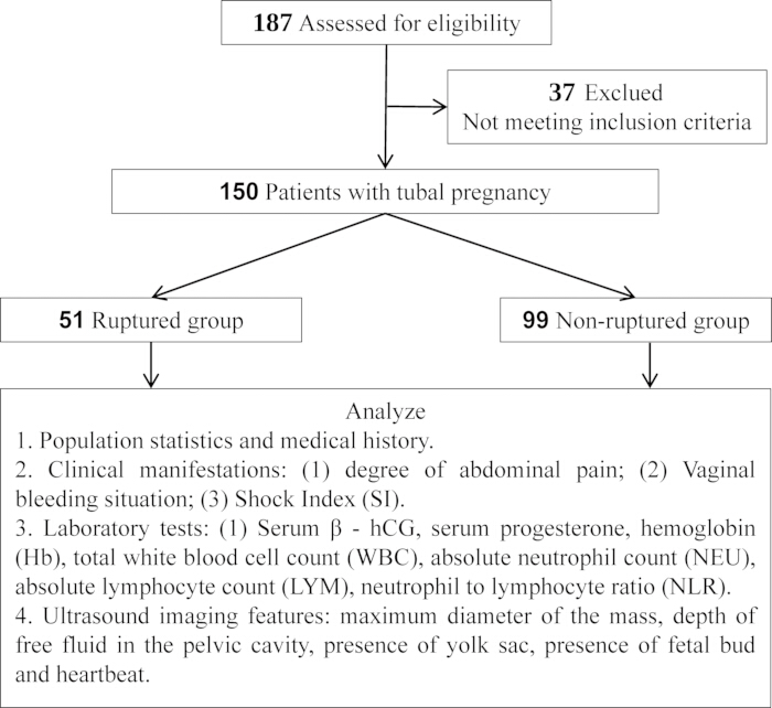 Flowchart of patient assessment branching into ruptured, non-ruptured tubal pregnancy groups analysis.