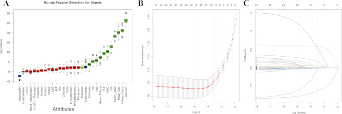 Boruta feature selection, cross-validation, LASSO regression plots for sepsis attribute analysis.