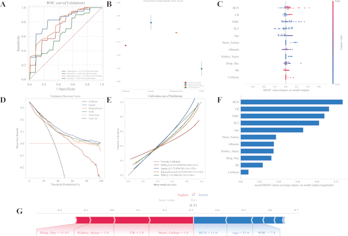 ROC and calibration analysis, multiple charts; prediction, validation, SHAP values; medical data.
