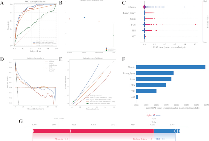 ROC curve, SHAP analysis, calibration curve, decision curve for model validation, medical data chart.