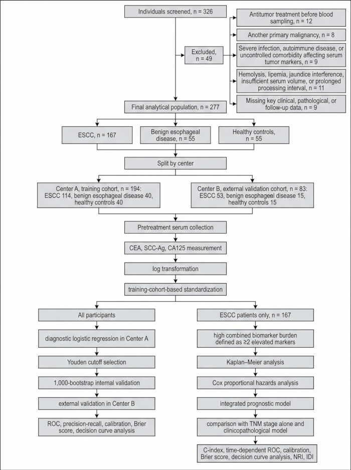 Flowchart of ESCC cohort analysis: screening, exclusions, serum marker measurement, data analysis methods.