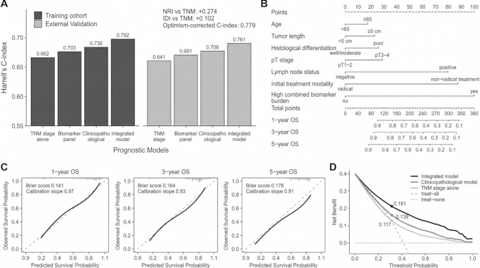 Prognostic model comparison chart; Harrell's C-index, survival probability, nomogram analysis.