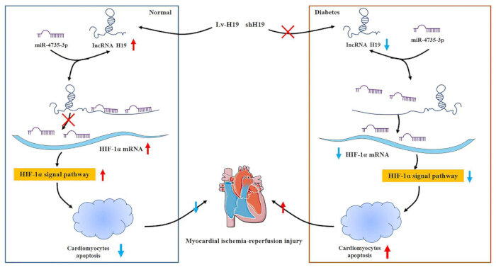 figure-results-7