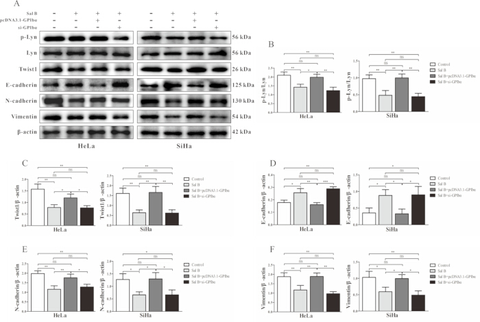 figure-results-4 figure-results-4