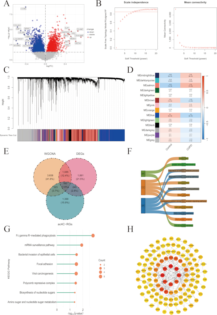 Gene expression analysis diagrams: volcano plot, network graph, clustering, Venn, Sankey flow, pathway chart.