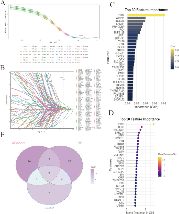 Machine learning model evaluation; Lasso regression plot, feature importance chart, Venn diagram.