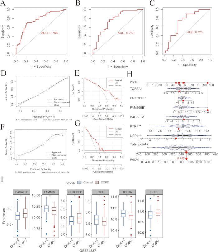 ROC curves (A-C), calibration plots (D, F), decision curves (E, G), gene expression boxplots (I).