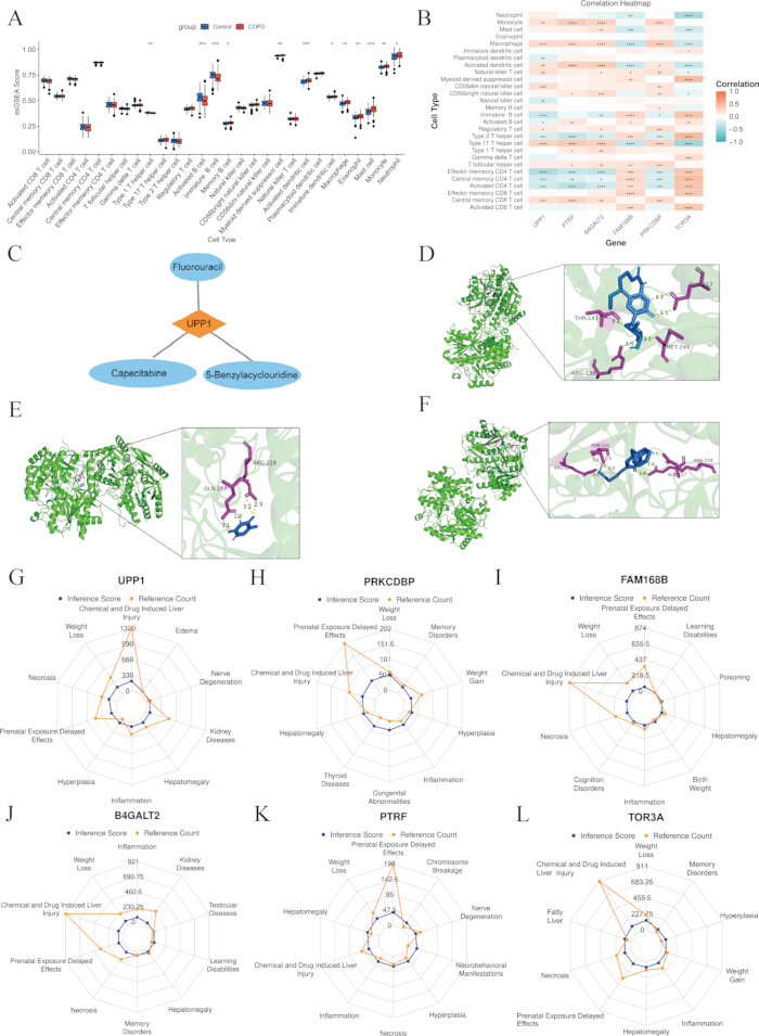 Gene expression and drug interaction analysis in COPD; includes graphs, heatmaps, molecular diagrams.