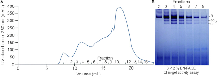 figure-results-1