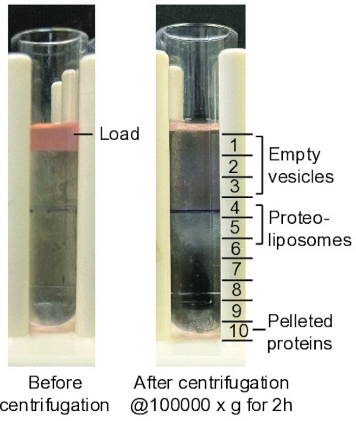 figure-results-2