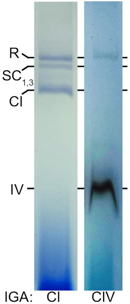 figure-results-4