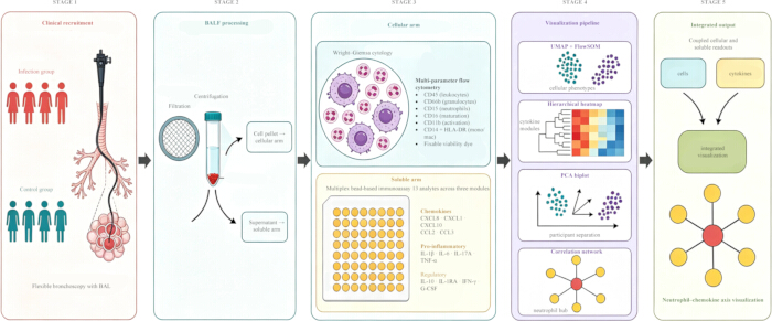 figure-protocol-1 figure-protocol-1