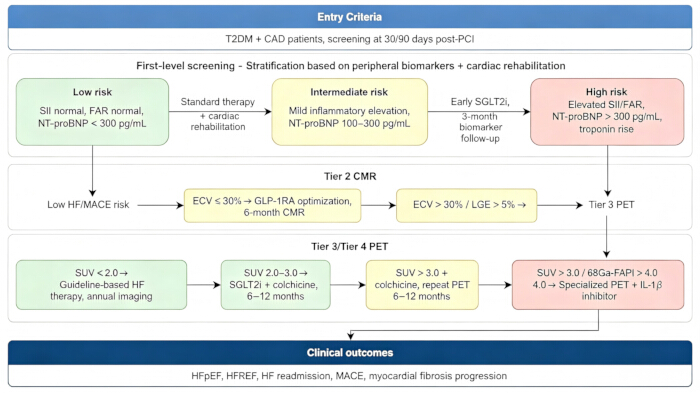 Flowchart of T2DM and CAD patient screening; process includes biomarker-based stratification, CMR, PET.
