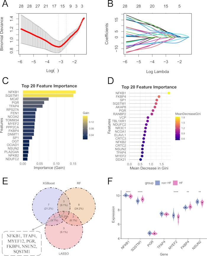 figure-results-2 Elastic net plot, feature importance analysis (XGBoost, RF, LASSO), Venn diagram, gene expression chart.
