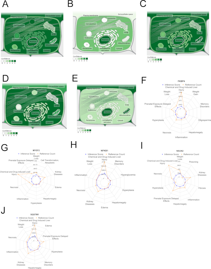 figure-results-4 Cellular components diagram with confidence levels, radar charts for chemical exposure effects analysis.