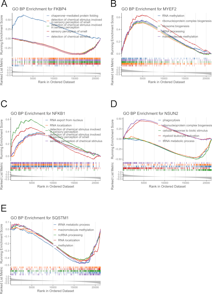 figure-results-5 Gene ontology enrichment analysis graphs; ranked data; biological processes; enrichment score trends.