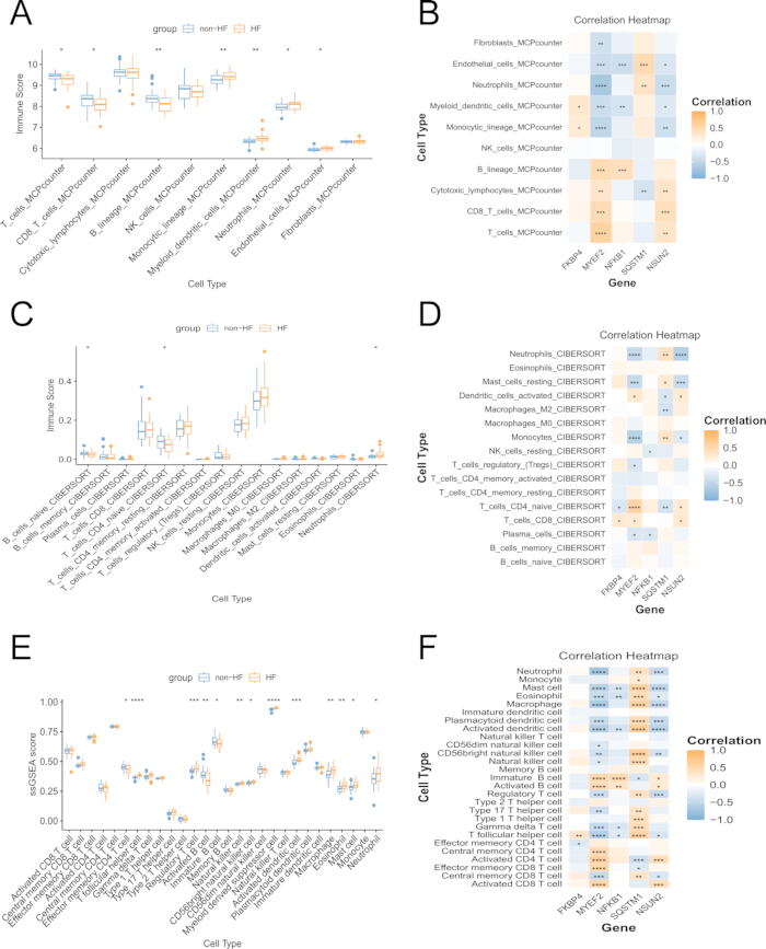 figure-results-6 Cell type immune score boxplots (A, C, E) and correlation heatmaps (B, D, F) for gene analysis.