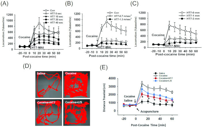 figure-results-2 Locomotion response to cocaine; time-series graphs (A-C) show post-cocaine effects; heat maps (D) display movement patterns; graph (E) compares distance traveled; acupuncture effect analysis.