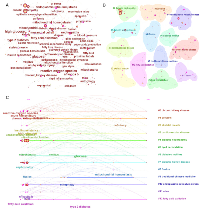 figure-results-6 Scientific concept map of metabolic pathways; protein interaction, disease clusters, network diagram.