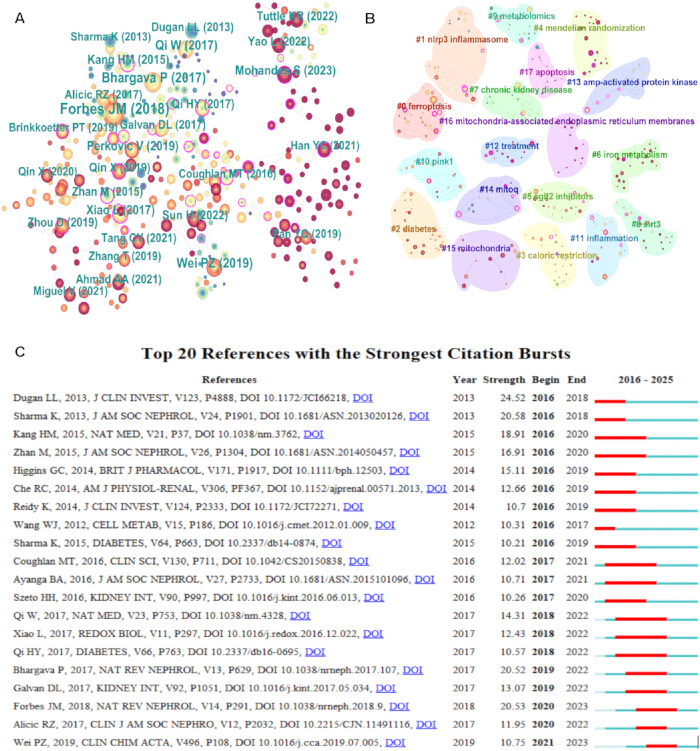 figure-results-7 Citation analysis diagram and chart, highlighting research trends and citation bursts in nephrology.