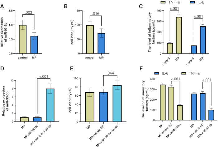 figure-results-2 Bar graphs showing relative mRNA expression, cell viability, and inflammatory factors (TNF-α, IL-6).