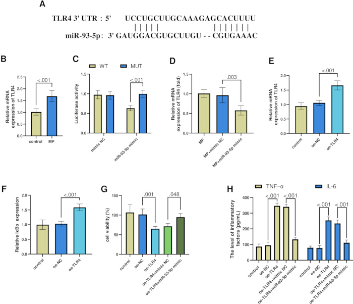 figure-results-3 Gene expression bar graphs; TLR4-miR-93-5p interaction; luciferase, mRNA, cell viability results.