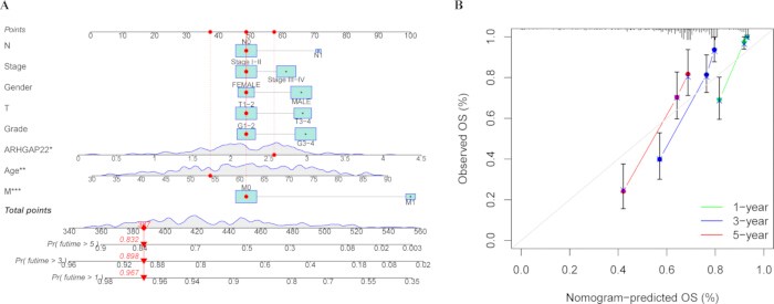 figure-results-4 Nomogram diagram predicting observed survival rates; OS vs. predicted OS chart with years trendlines.