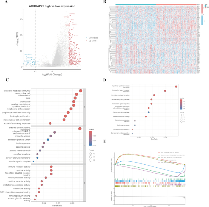 figure-results-6 Gene expression analysis charts; includes volcano plot, heatmap, enrichment dot plot.
